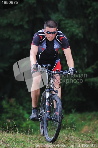 Image of mountain bike 