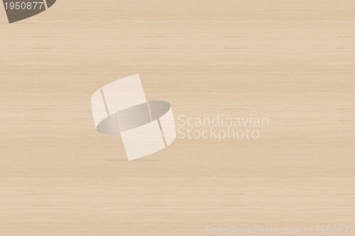 Image of wood Texture