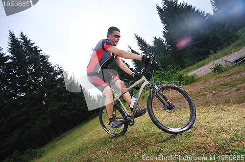 Image of mountain bike 