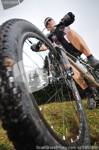 Image of mountain bike 