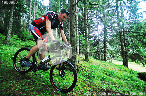 Image of  mount bike man outdoor