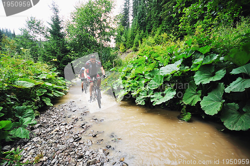 Image of wetmtb