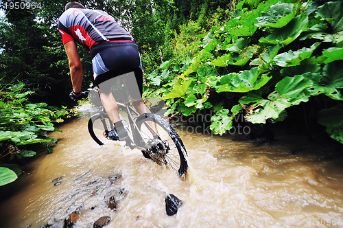 Image of wetmtb