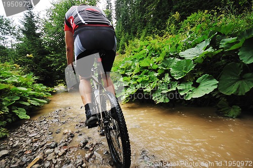 Image of wetmtb