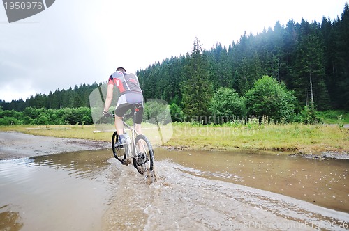 Image of wetmtb