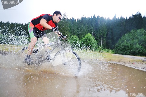 Image of wetmtb