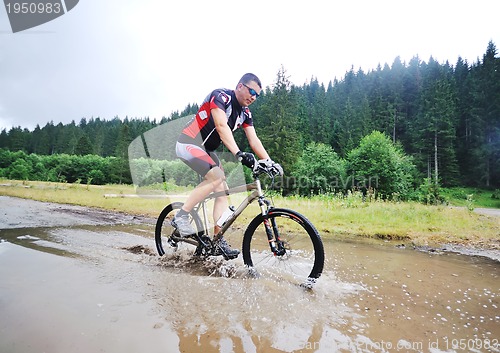 Image of wetmtb