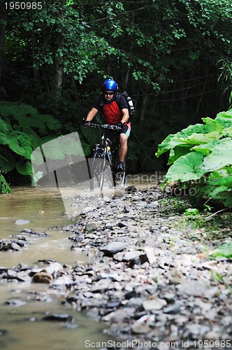 Image of wetmtb