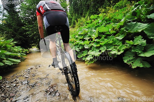 Image of wetmtb