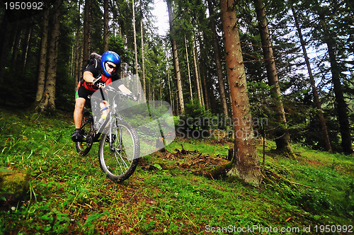 Image of  mount bike man outdoor