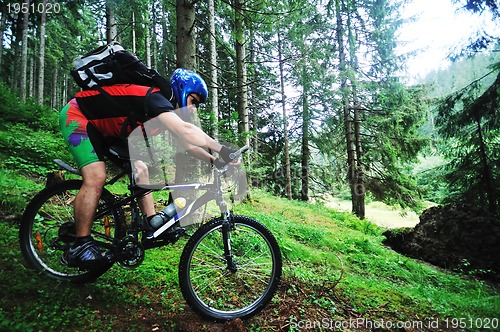 Image of  mount bike man outdoor