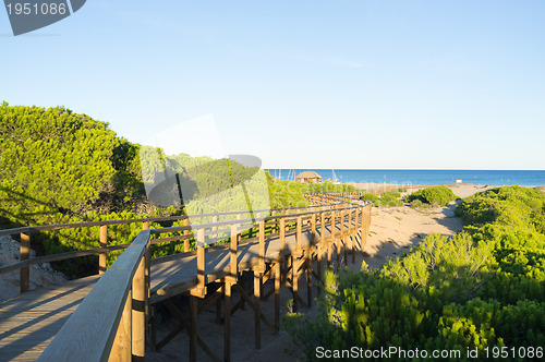 Image of Carabassi beach