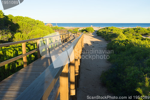 Image of Carabassi beach