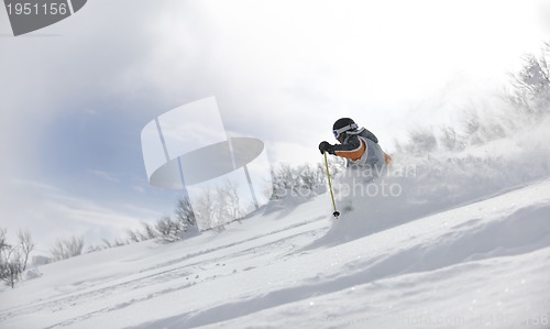 Image of ski freeride