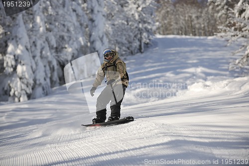 Image of freestyle snowboarder jump and ride