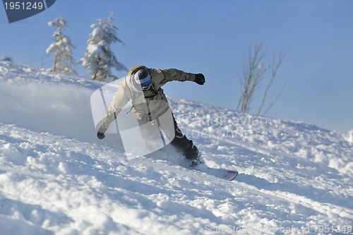 Image of freestyle snowboarder jump and ride