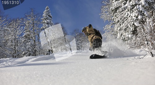 Image of freestyle snowboarder jump and ride