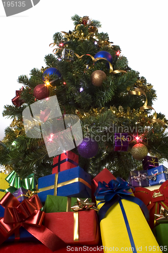 Image of tree