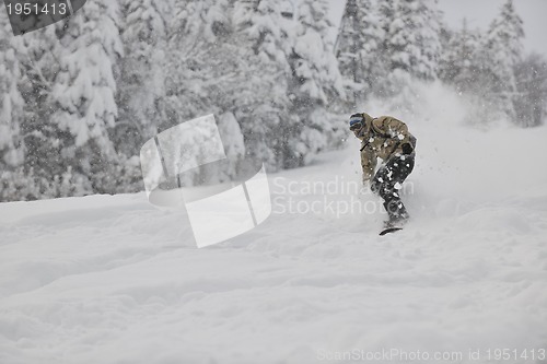 Image of freestyle snowboarder