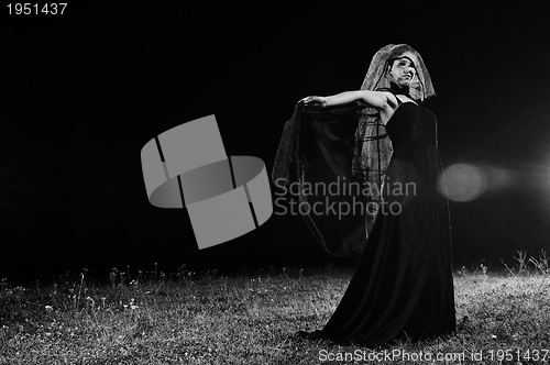 Image of black widow