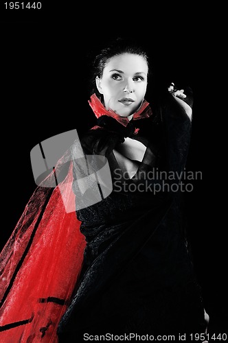 Image of black widow