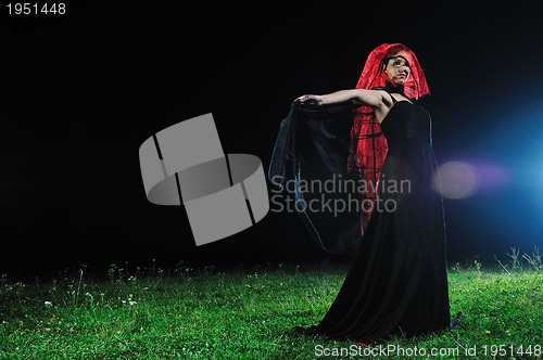 Image of black widow