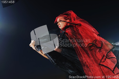 Image of black widow