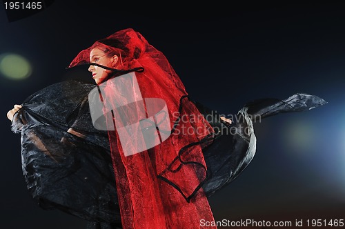 Image of black widow