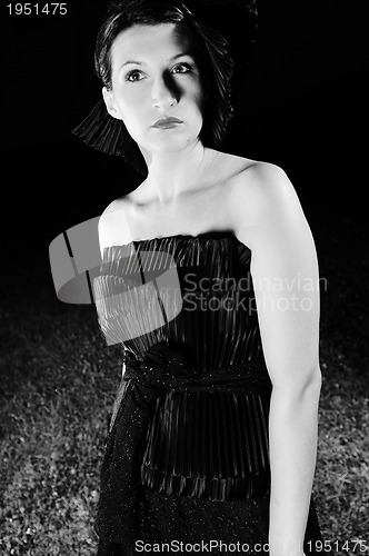 Image of black widow