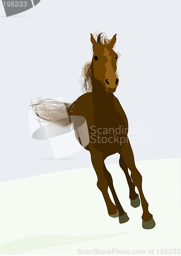 Image of race-horse