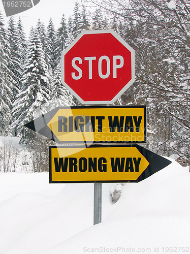 Image of right and wrong way road sign in nature