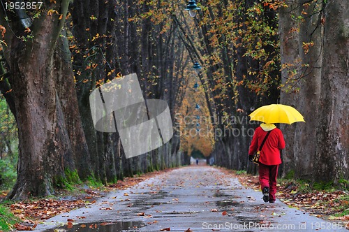 Image of people walking in long alley at fall autumn sesson 