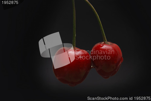 Image of fresh cherry