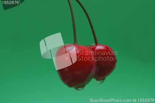 Image of fresh cherry