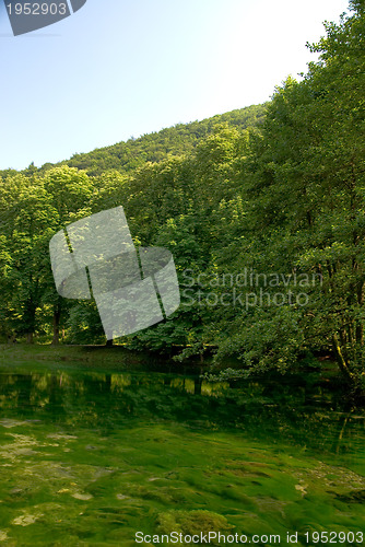 Image of lake in pure nature