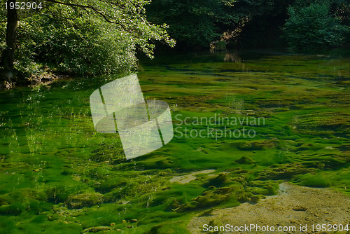 Image of lake in pure nature