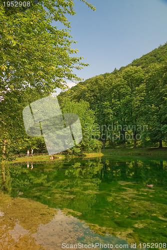 Image of lake in pure nature