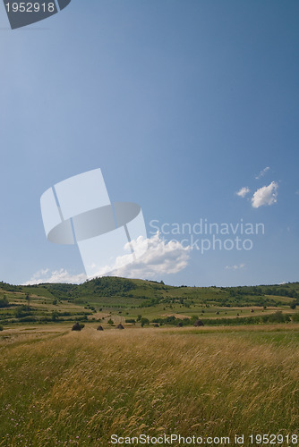 Image of summer landscape