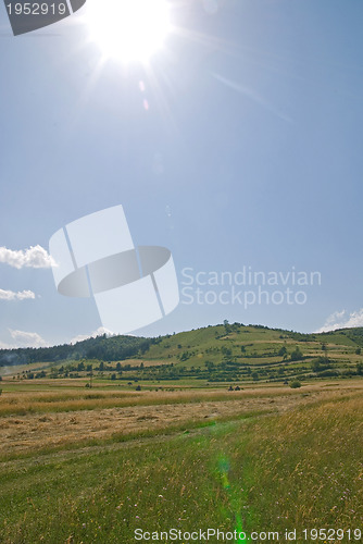 Image of summer landscape