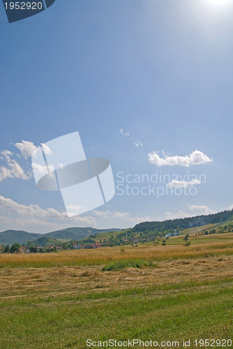 Image of summer landscape