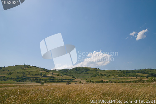 Image of summer landscape