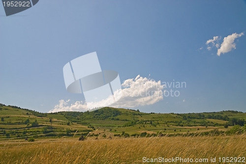 Image of summer landscape