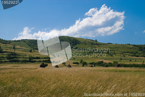 Image of summer landscape