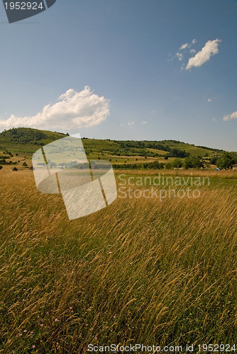 Image of summer landscape