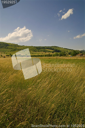 Image of summer landscape