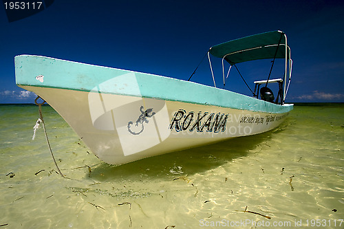 Image of close up of a boat in the blue laggon sian kaan