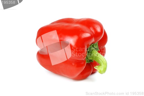 Image of Red pepper