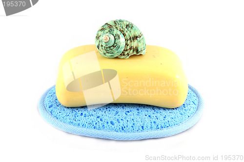 Image of Soap in a cloth with a sea shell