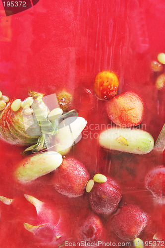 Image of Nature frozen