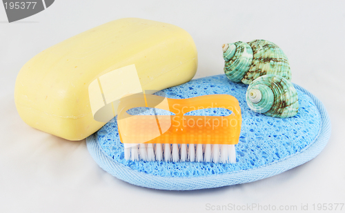 Image of Soap, brush and cloth
